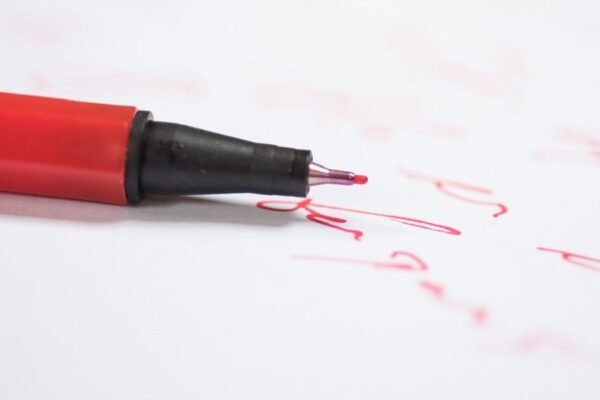 Essay Services and Their Benefits